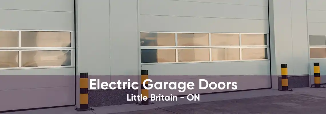 Electric Garage Doors Little Britain - ON