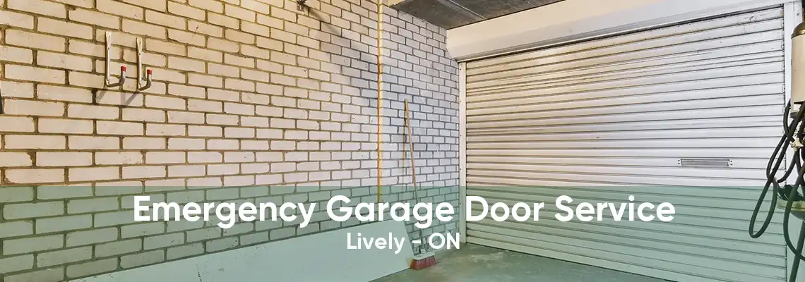 Emergency Garage Door Service Lively - ON