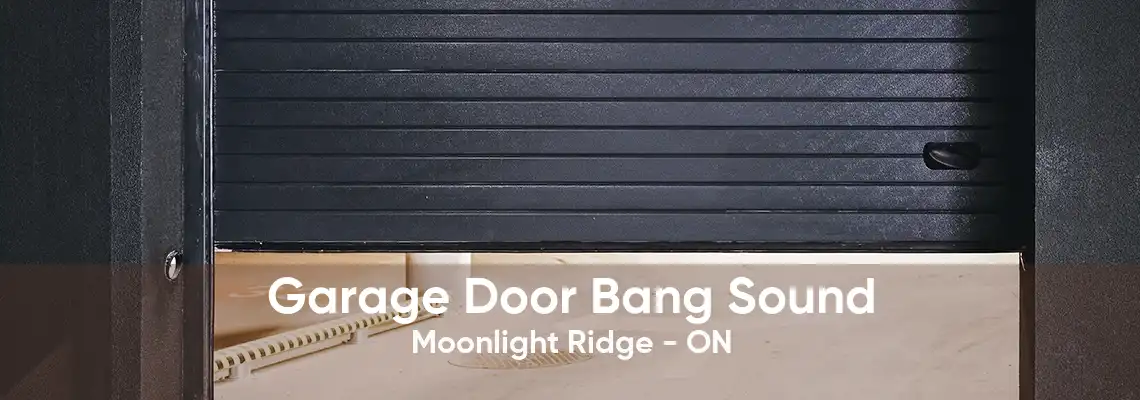 Garage Door Bang Sound Moonlight Ridge - ON