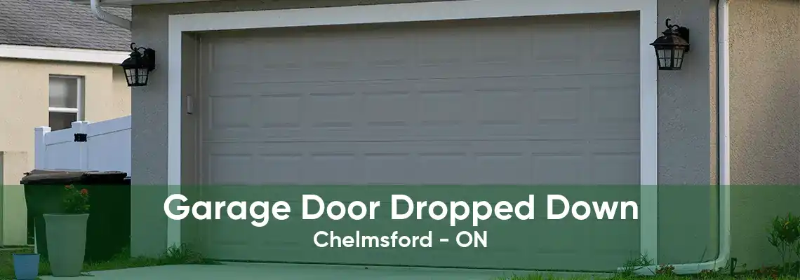 Garage Door Dropped Down Chelmsford - ON