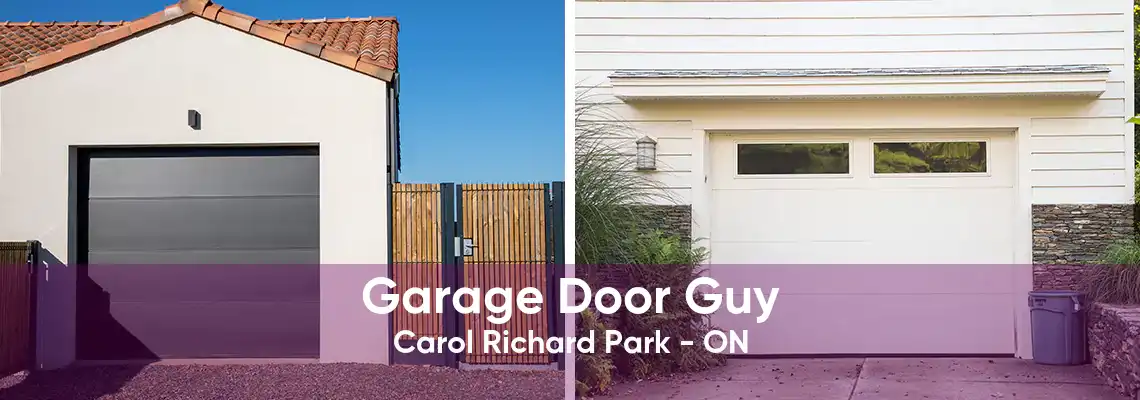 Garage Door Guy Carol Richard Park - ON