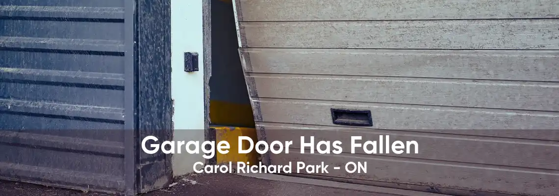 Garage Door Has Fallen Carol Richard Park - ON