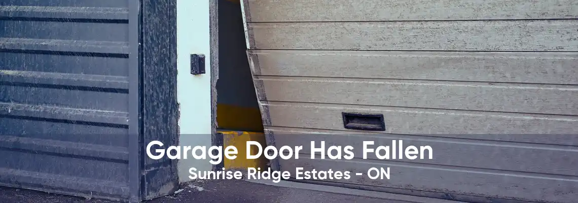 Garage Door Has Fallen Sunrise Ridge Estates - ON