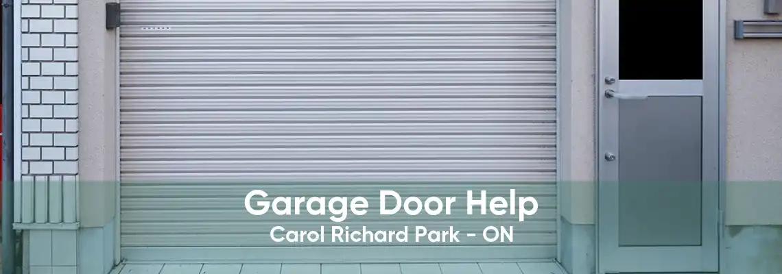Garage Door Help Carol Richard Park - ON