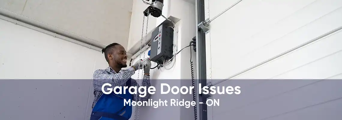 Garage Door Issues Moonlight Ridge - ON