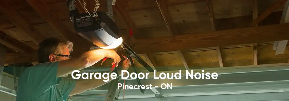 Garage Door Loud Noise Pinecrest - ON