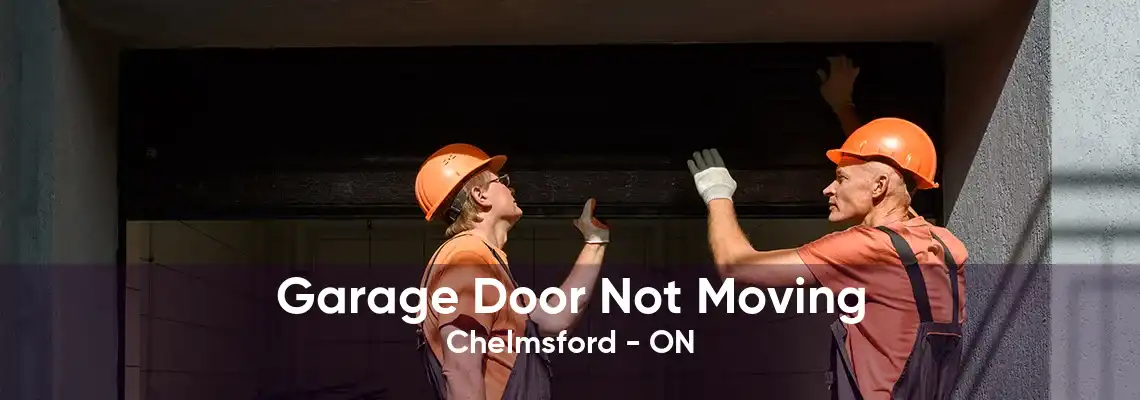 Garage Door Not Moving Chelmsford - ON