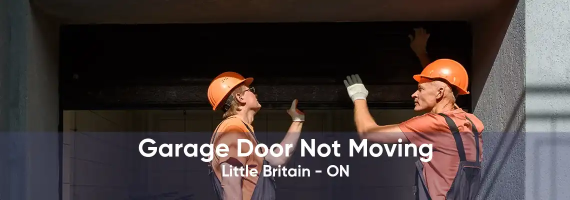 Garage Door Not Moving Little Britain - ON