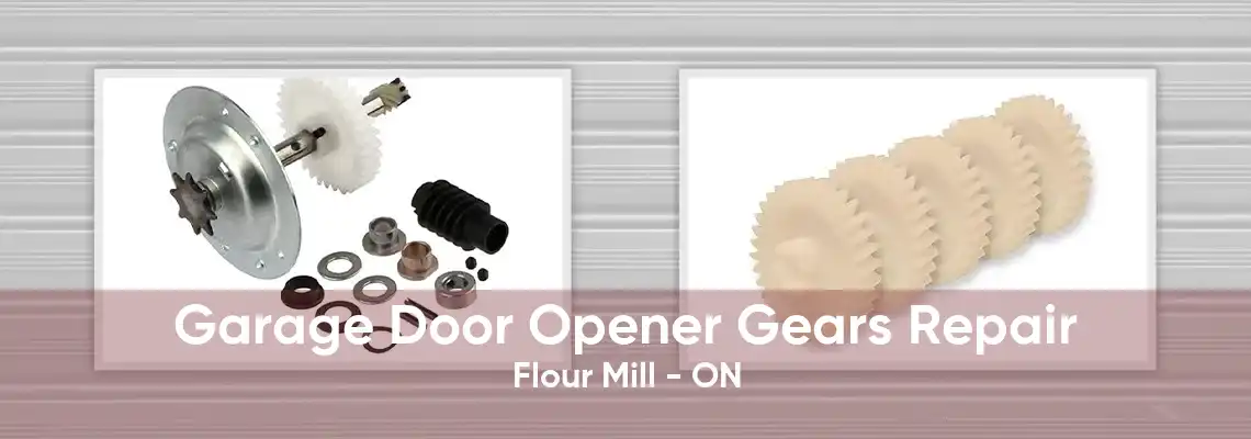 Garage Door Opener Gears Repair Flour Mill - ON