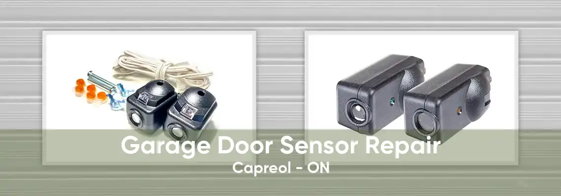 Garage Door Sensor Repair Capreol - ON