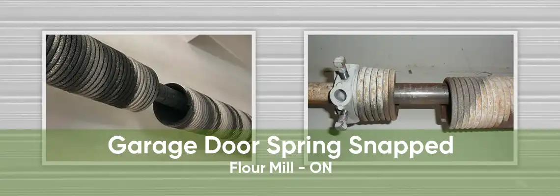 Garage Door Spring Snapped Flour Mill - ON