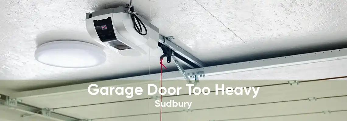 Garage Door Too Heavy Sudbury