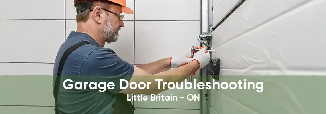 Garage Door Troubleshooting Little Britain - ON