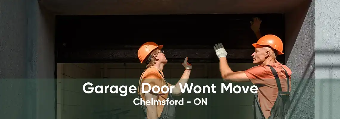 Garage Door Wont Move Chelmsford - ON