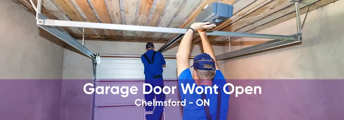 Garage Door Wont Open Chelmsford - ON