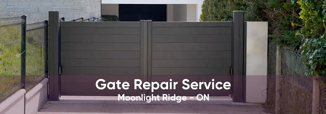 Gate Repair Service Moonlight Ridge - ON
