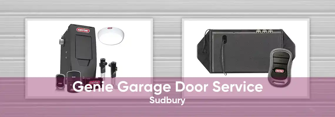 Genie Garage Door Service Sudbury