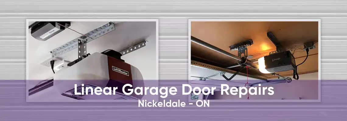 Linear Garage Door Repairs Nickeldale - ON