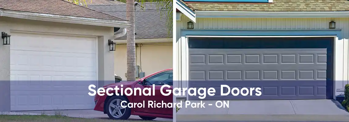 Sectional Garage Doors Carol Richard Park - ON