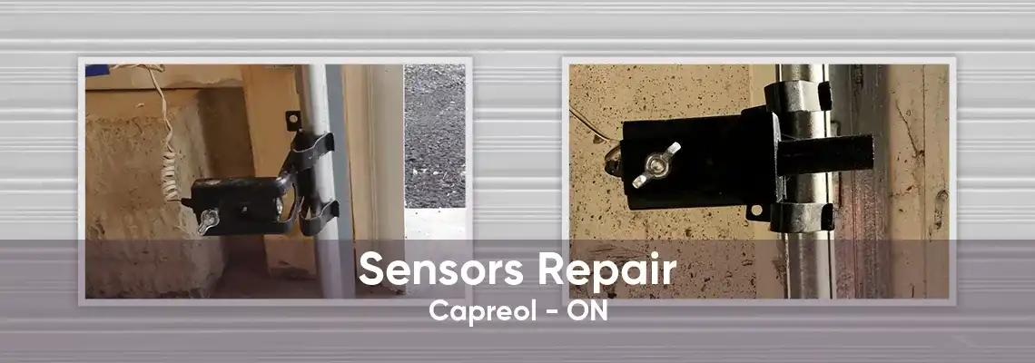 Sensors Repair Capreol - ON